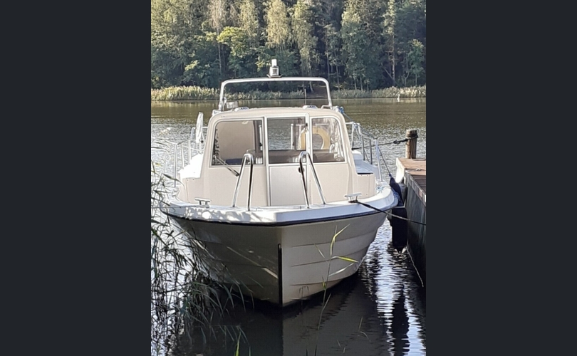 Bella Delphin-kuva-1